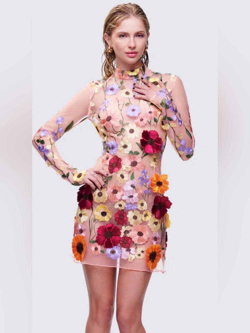 FINESSE Dress Medium Floral Flower Appliques Mini Sheer Mesh Long Sleeve Blush